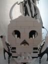 dsc09101.jpg