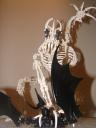 dsc09302.jpg