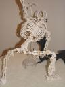 dsc09304.jpg