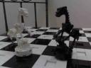 20080608098.jpg