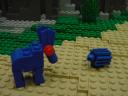 dsc03913.jpg