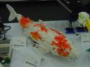 dsc03994.jpg