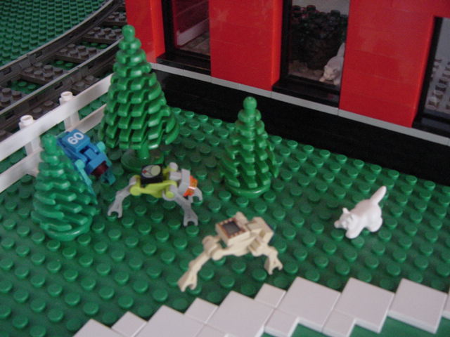 dsc01096.jpg