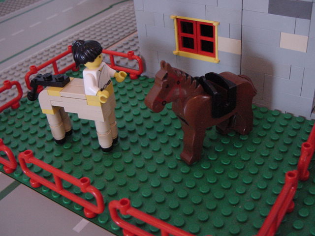dsc01115.jpg