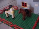 dsc01115.jpg