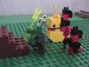 dsc01119.jpg