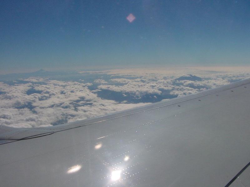 dsc02373.jpg