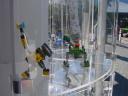 dsc03774.jpg