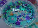 dsc03779.jpg