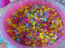 dsc03780.jpg