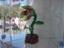 dsc03813.jpg