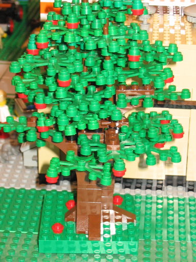 appletree.jpg