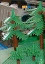 tree2.jpg