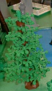 tree1.jpg