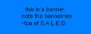 banner