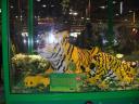 legofestival04120003.jpg