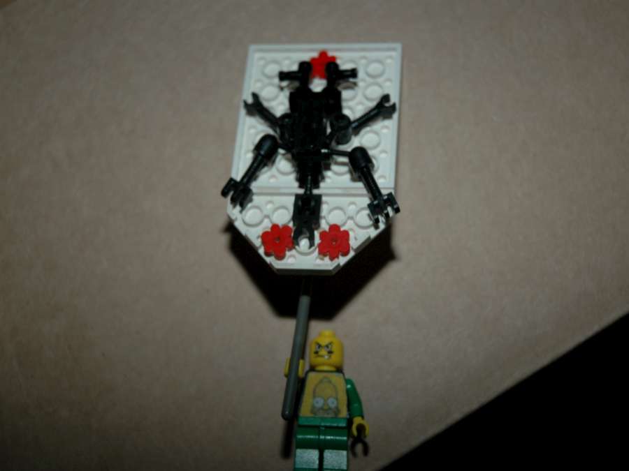 dsc_0003-900x675.jpg