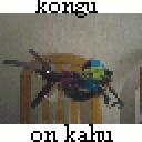 kok.gif