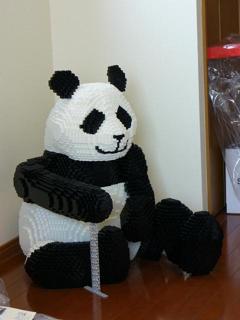 panda01.jpg