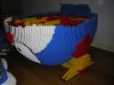 projectd95.jpg