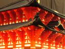 todaiji05.jpg