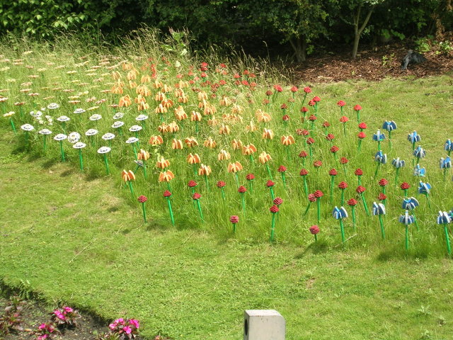 pic28.jpg