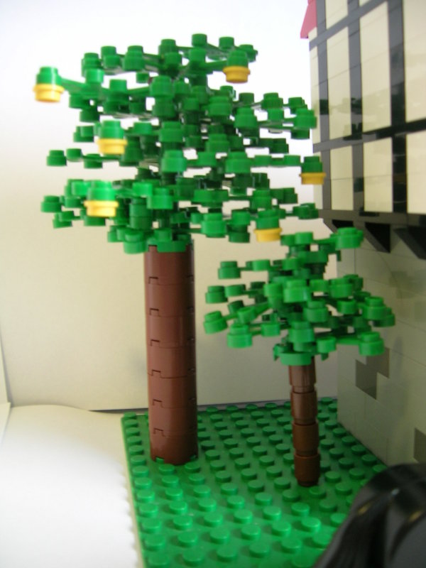 05_fruit_tree.jpg
