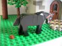 06_pooping_horse.jpg