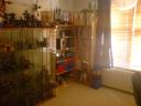 dsc00578.jpg