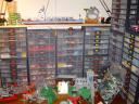 dsc01183.jpg