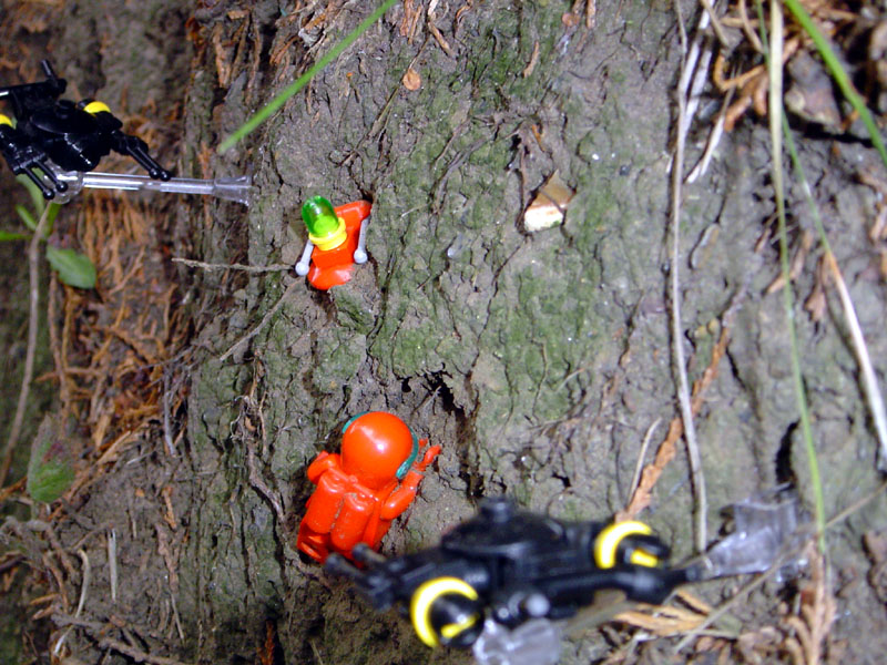 dsc01484.jpg