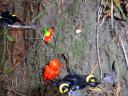 dsc01484.jpg