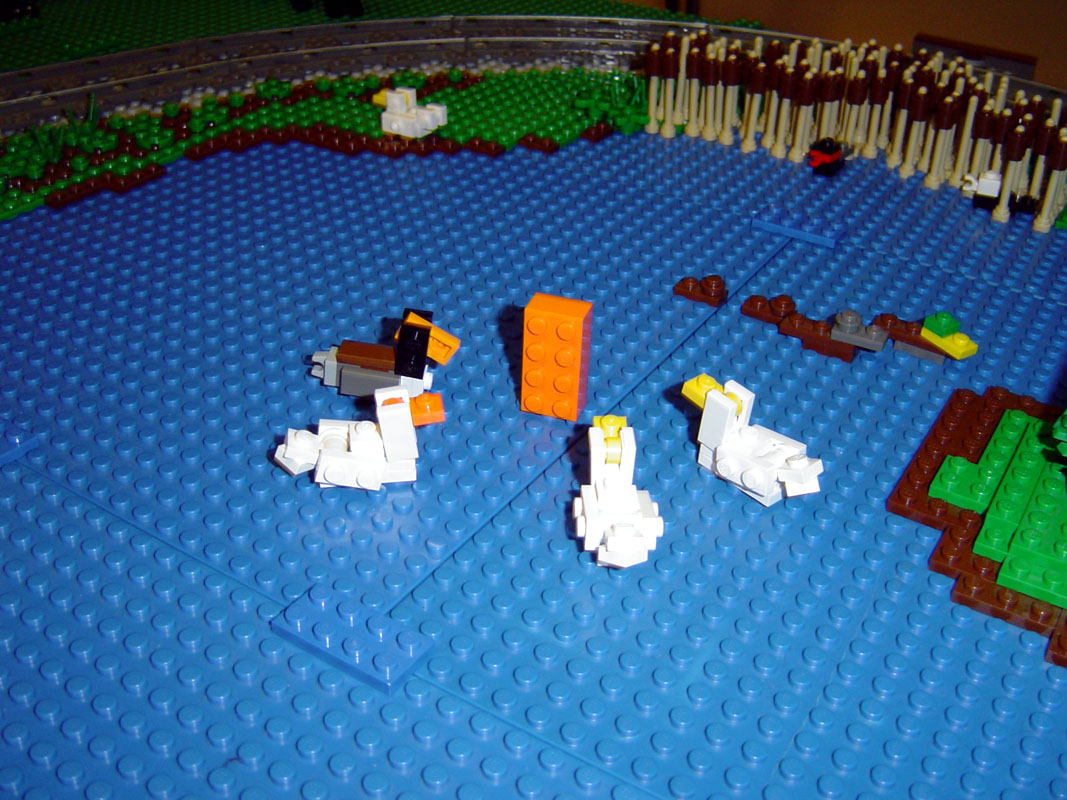 dsc01513.jpg