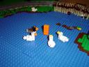 dsc01513.jpg