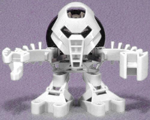 whitematoran.jpg