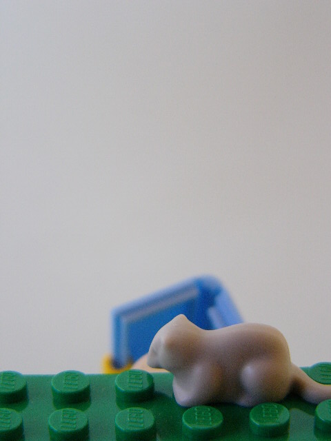 12248.jpg