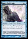 raven_guild_ninja.bmp