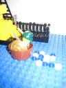 pirates_cove_007.jpg