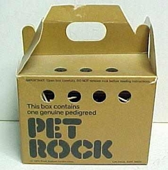pet_rock.jpg