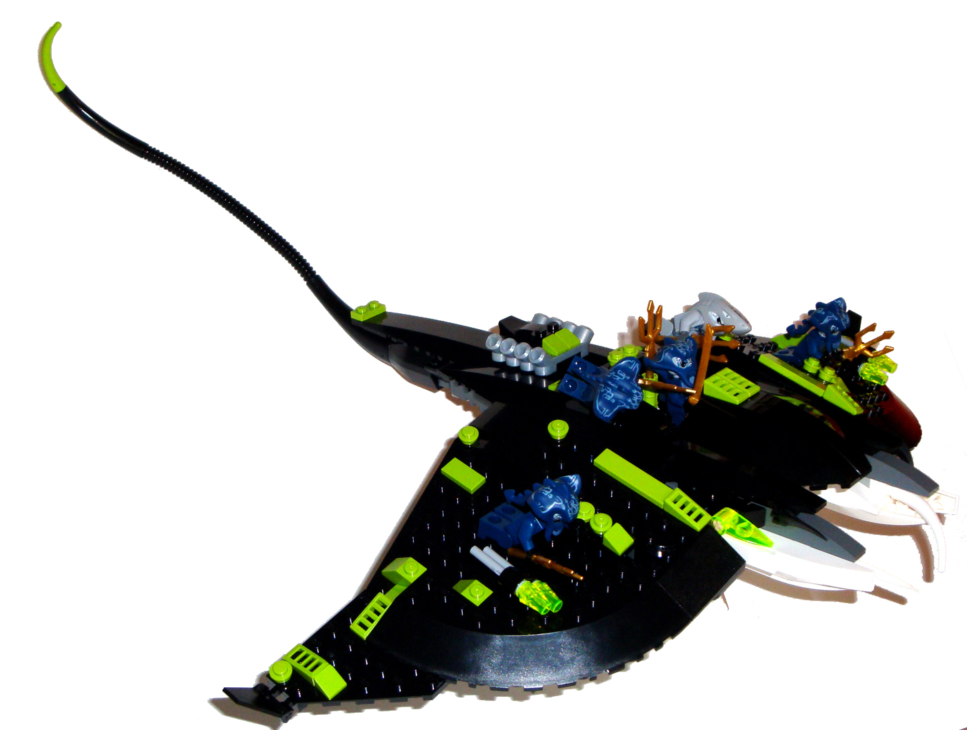 manta10.jpg