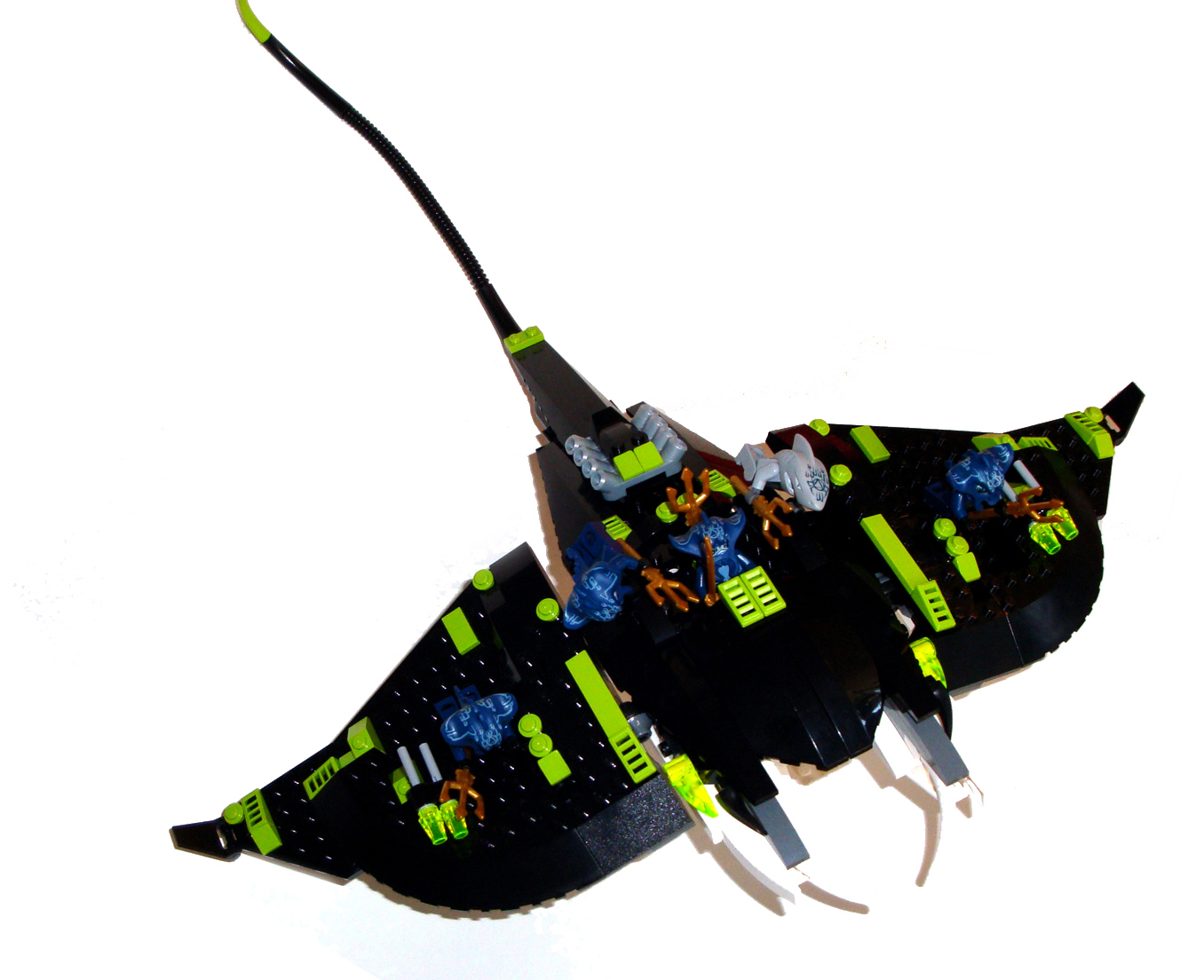 manta3.jpg
