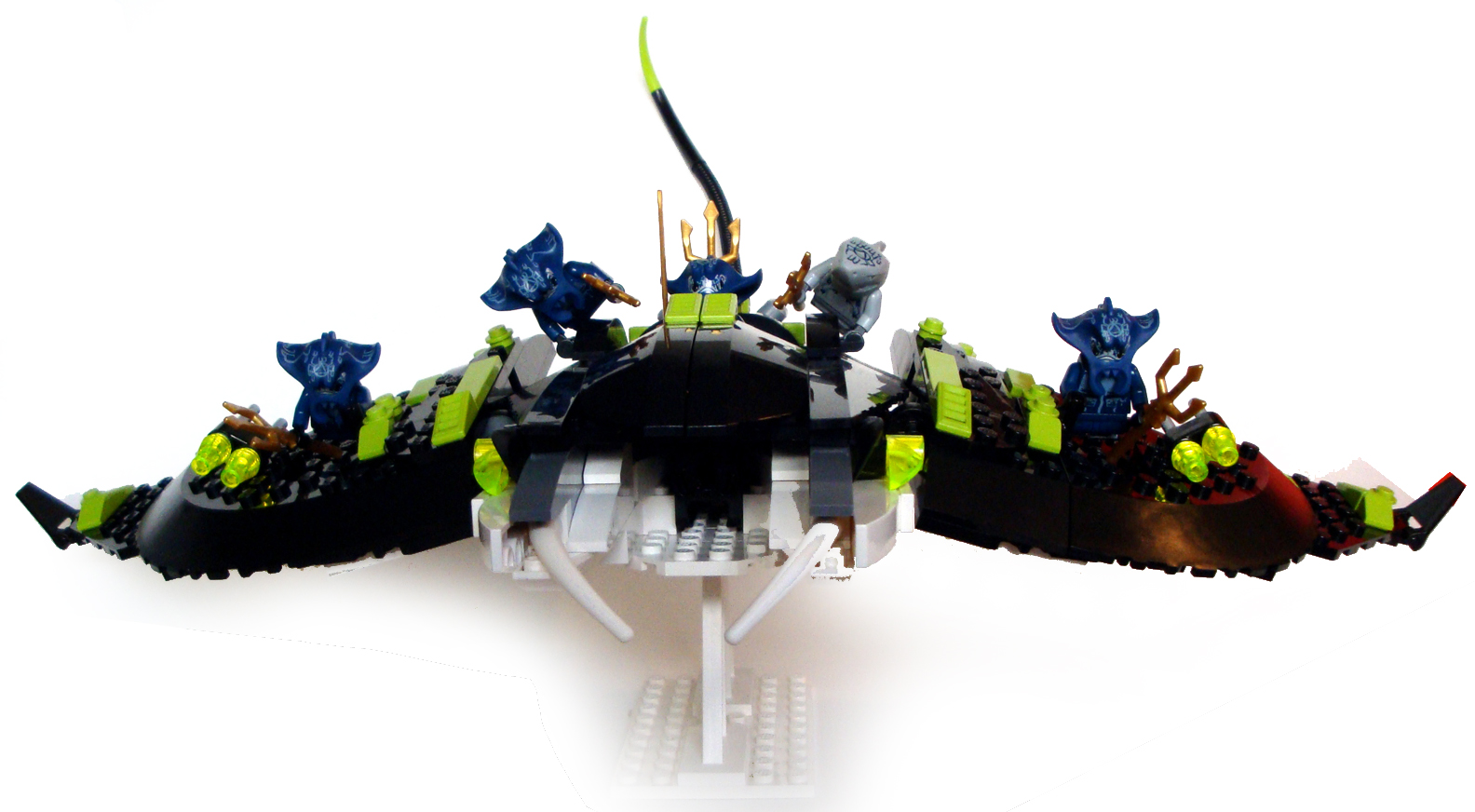 manta5.jpg