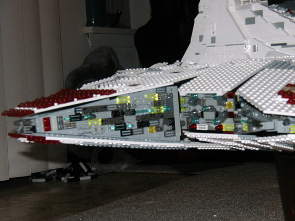 p1010007.jpg