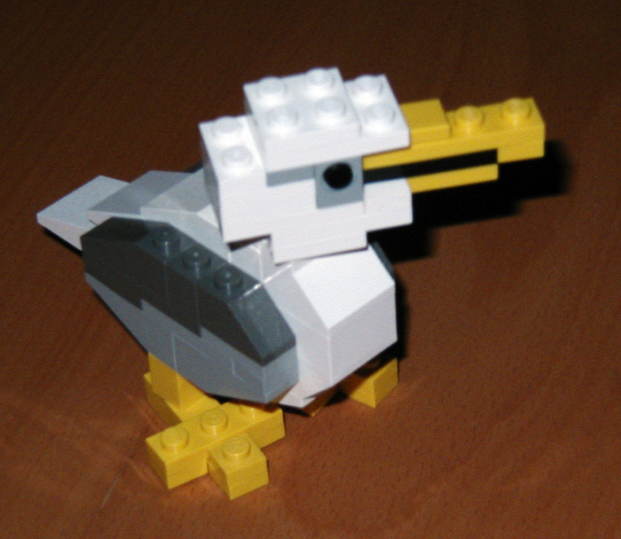gull1.jpg