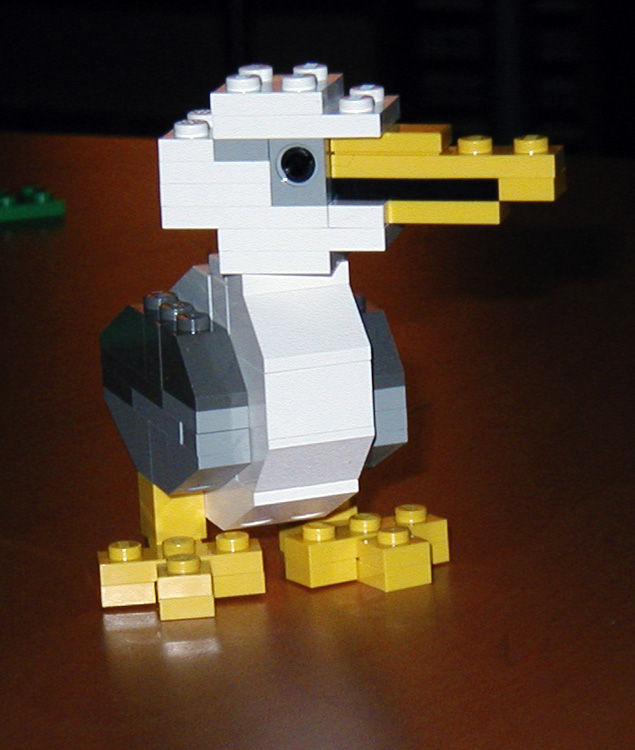 gull2.jpg
