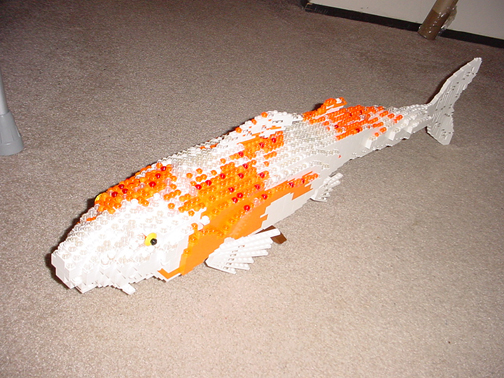 koi1.jpg