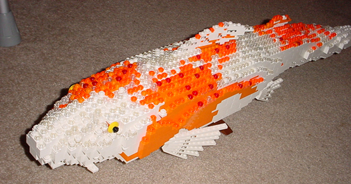 koi2.jpg