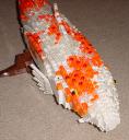 koi3.jpg