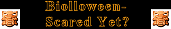 biolloween.gif