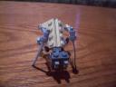 Antlion